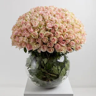Lilieh | Glass Vase