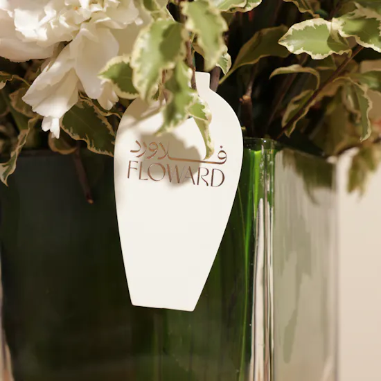Nua Dates Luxury Box | Carnations Vase