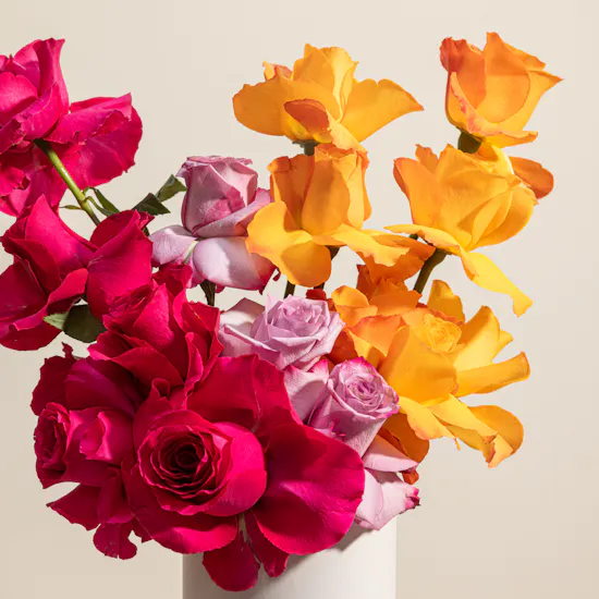 Bright Whispers Roses Box