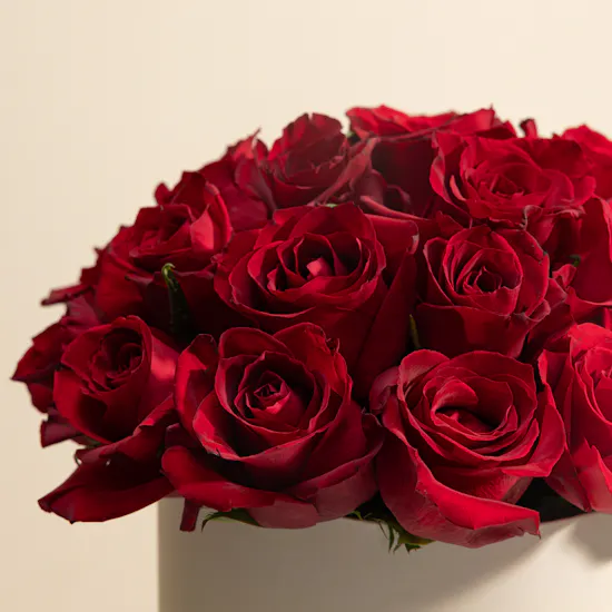 Charbonnel et Walker Rose and Violet Creams Chocolate Box | Blooming Red Roses Box