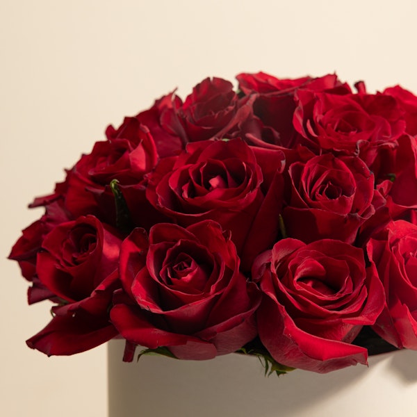 Charbonnel et Walker Rose and Violet Creams Chocolate Box | Blooming Red Roses Box