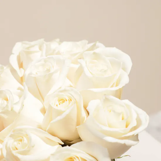 Whisper-Soft White Roses Box | 25 Roses