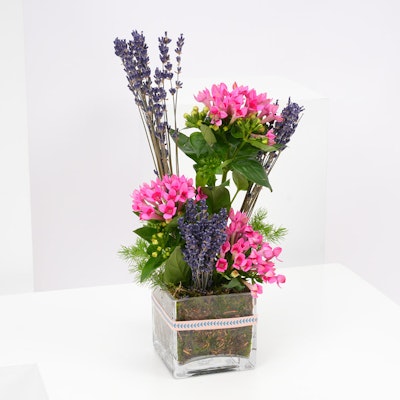 Bouvardia & Lavender | Square Vase