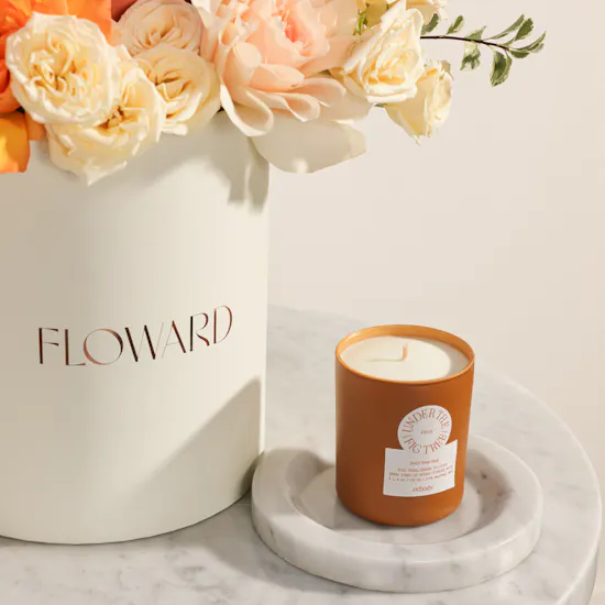 Echoes Candle Under the Fig Tree Small Candle | Apricot Glow Flower Box