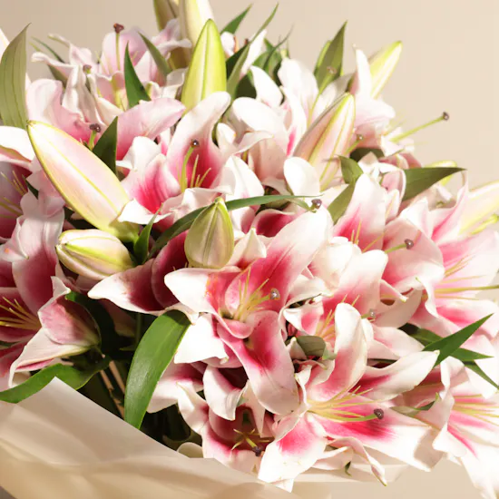 Soft Pink Lilies Bouquet | 25 Flowers