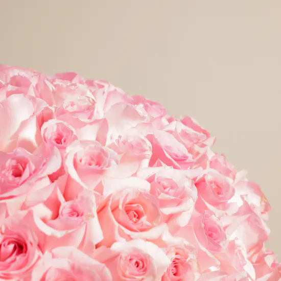 Soft Petals Bouquet | 150 Roses