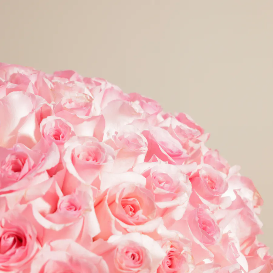 Soft Petals Bouquet | 150 Roses 2