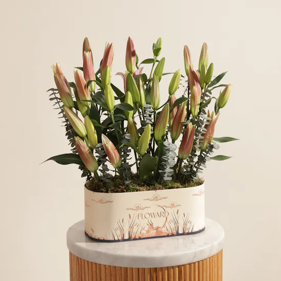 Serenity Pink and White Lily Box