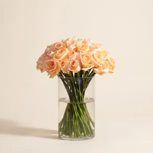 Stunning Peach Rose Vase | 50 Roses Stunning Peach Rose Vase | 50 Roses