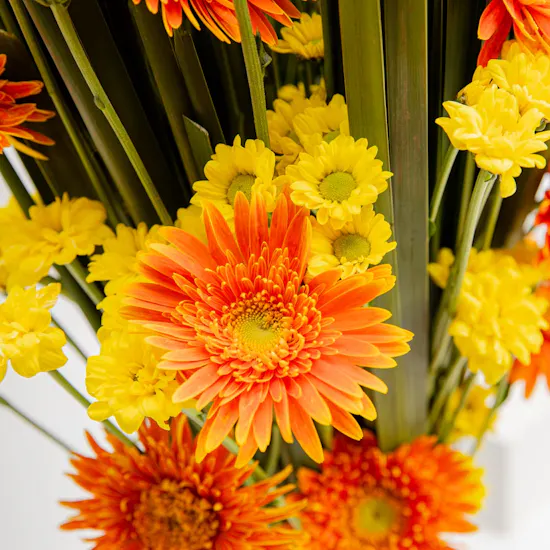 Vibrant Vase
