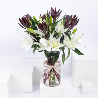 Burgundy lilies