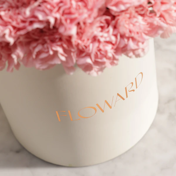 Lush Pink Carnation Box | 35 Flowers