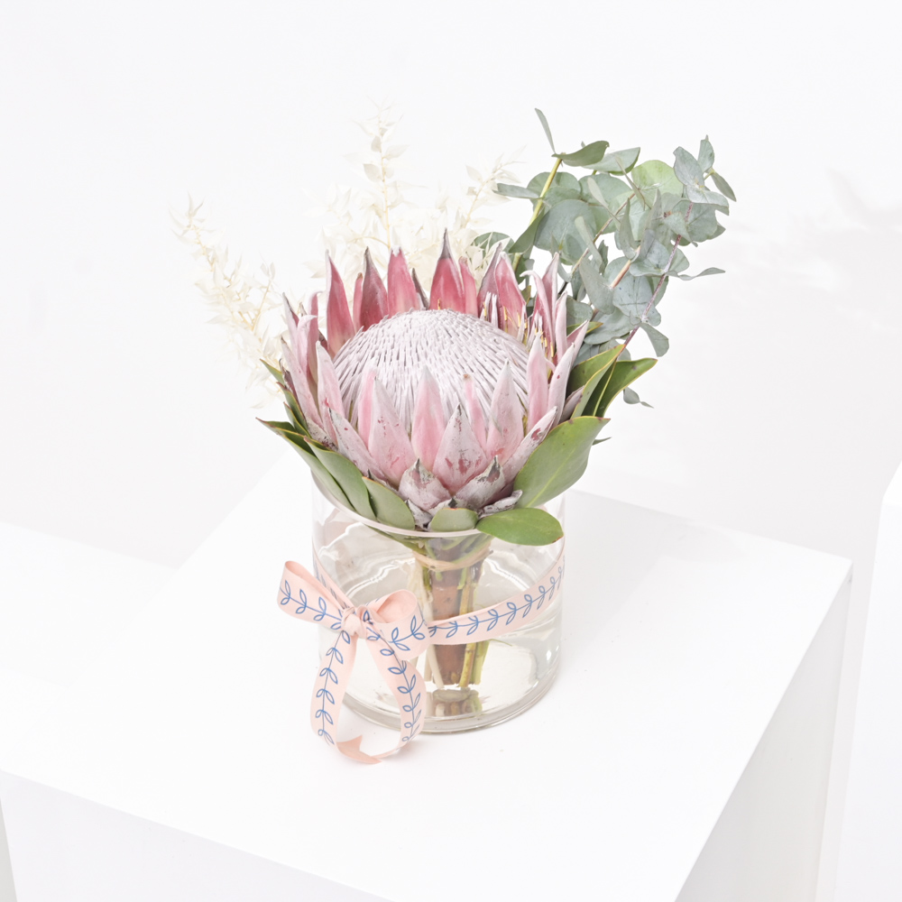 البروتيا الجميلة | مزهرية زجاج