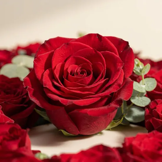 Red Romance Harmony Box