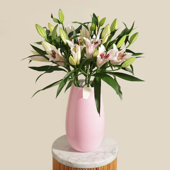 Feminine Muse Lily Vase