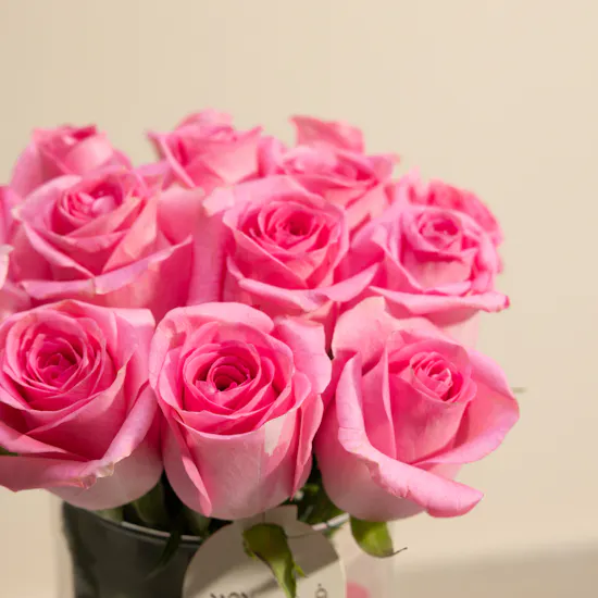 Pink Plush Rose Revival Vase