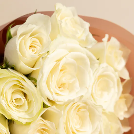Nola Piniata Vanilla Cake | Stunning Flowers