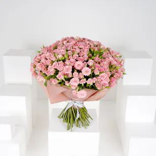 100 Pink Baby Roses V