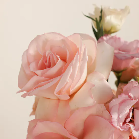 Tender Rhapsody Flower Box