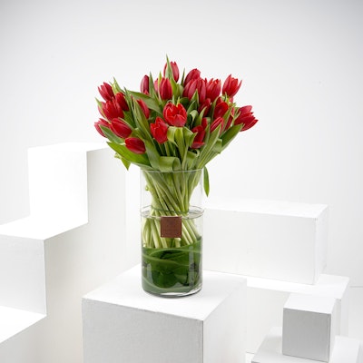 Red Tulips | Cylinder Vase