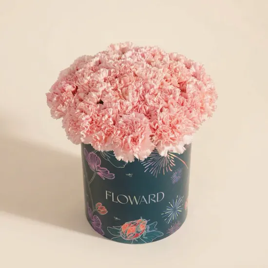 Gentle Pink Carnation Box | 35 Flowers