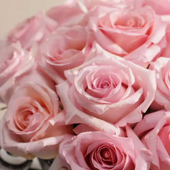 Blush Heirloom Rose Vase