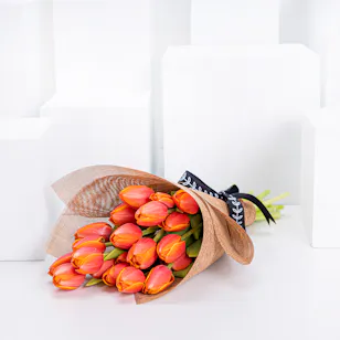 New Dawn |  Orange Tulips.