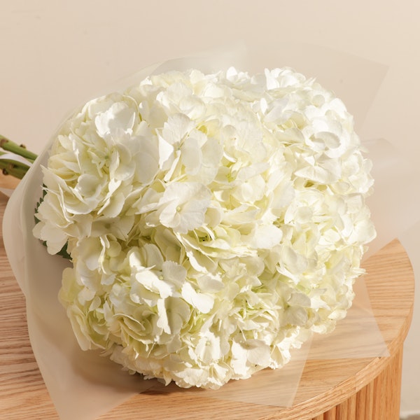 White Hydrangea Garden Bouquet