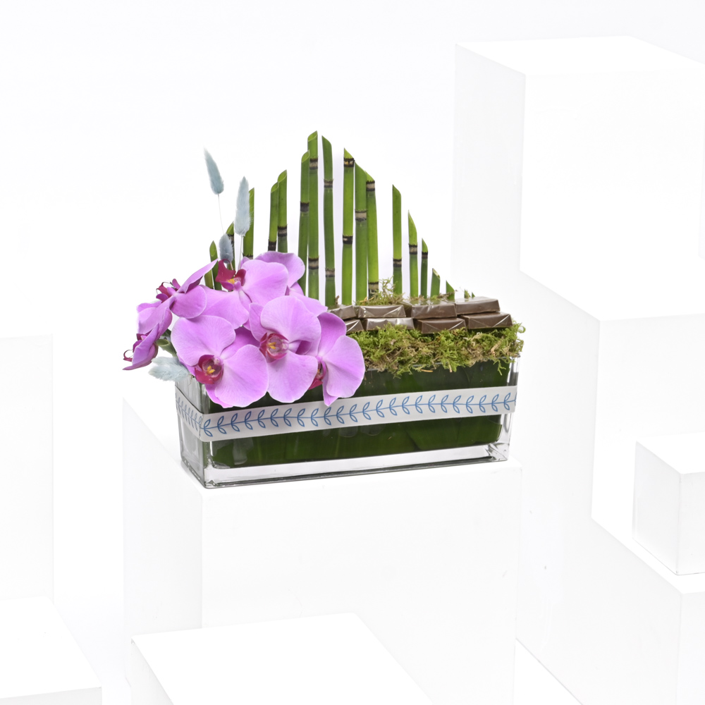 مزهرية حديقة الأوركيد | شوكولاتة