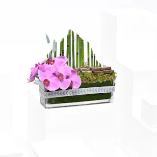 Little Garden Vase | Chocolates