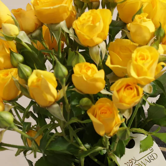 Golden Baby Rose Vase