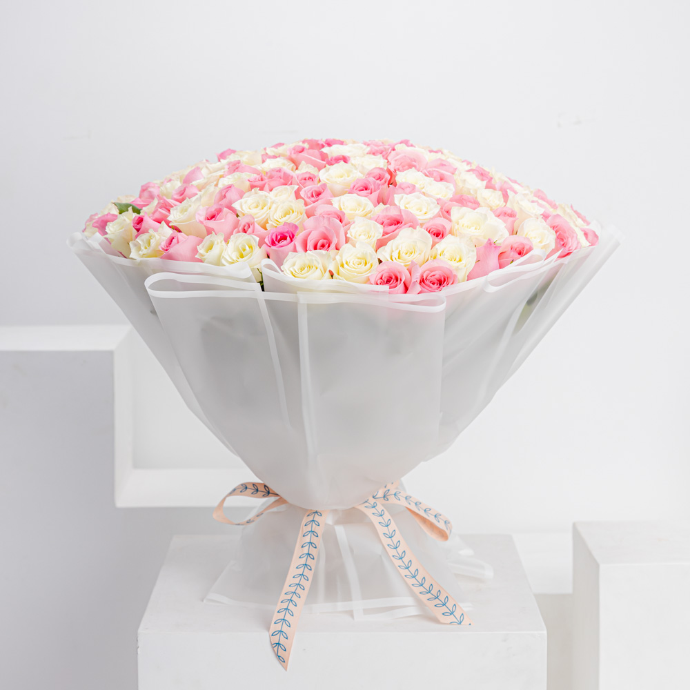 150 White and Revival Rose 