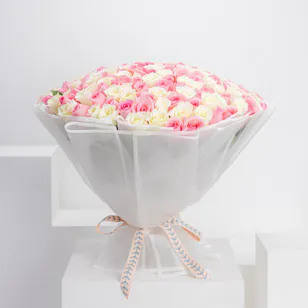 150 White and Revival Rose 
