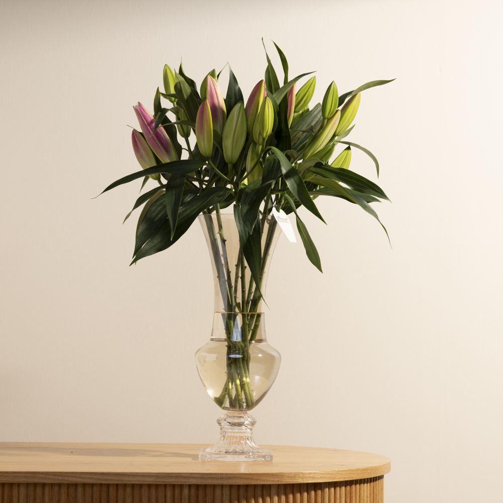 مزهرية ليليوم الجمال الراقي