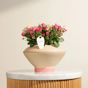 Blush Poetry Flower Vase Blush Poetry Flower Vase