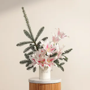 Cozy Flower Box