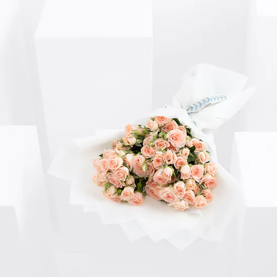 Peachy Passion | Baby Roses