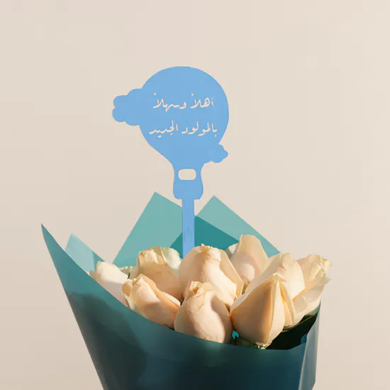 The Little Prince Welcome Gift Set
