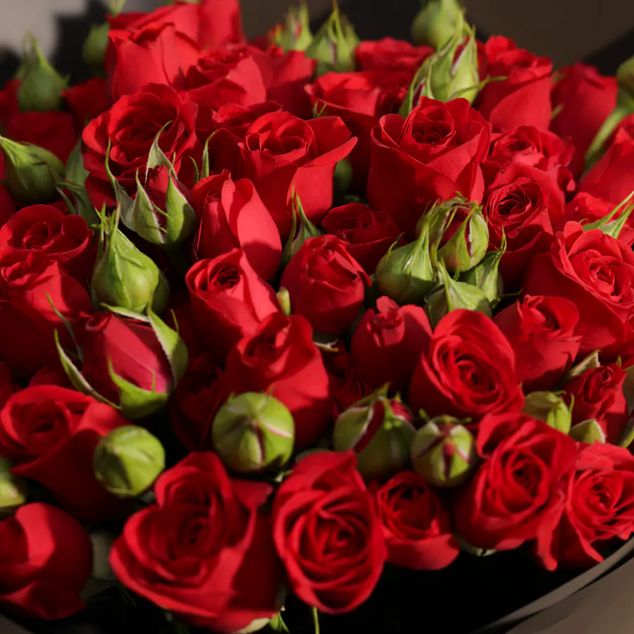 Red Velvet Bliss Baby Roses Bouquet 4