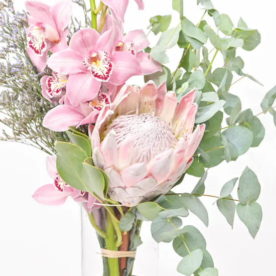 Peace Cymbedium | Glass Vase