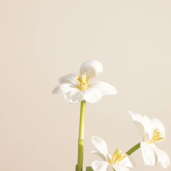 Artistic Harmony Flower Vase