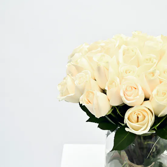 48 White Roses Vase