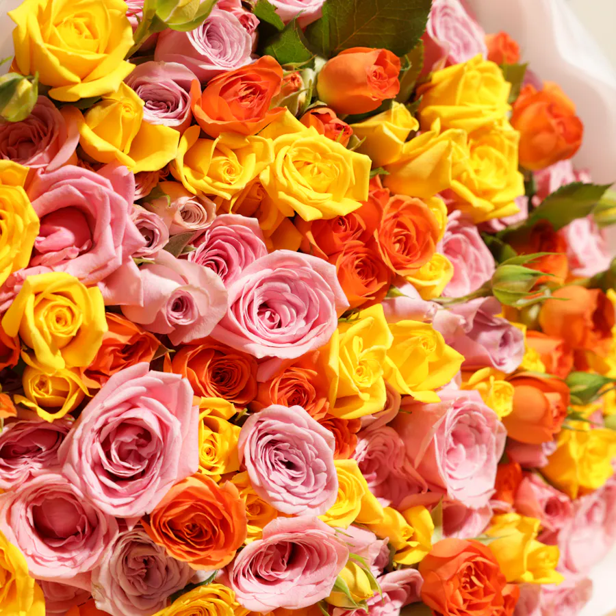 Rainbow Bouquet | White Wrap 5