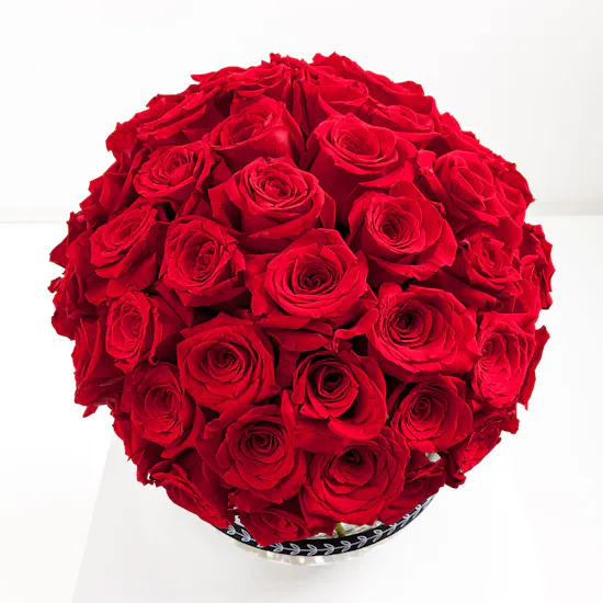50 Red Rose | Fishbowl