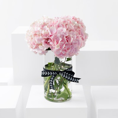 Pink Hydrangea Vase