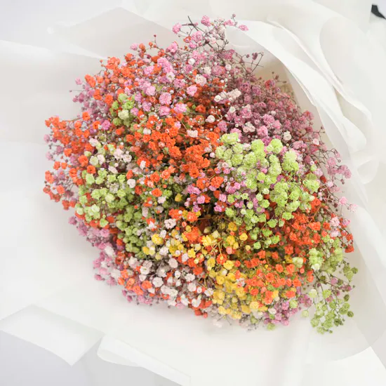 Rainbow Gypsophila Bouquet