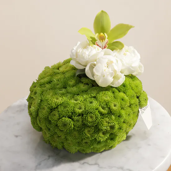 Peony Silk Garden