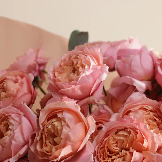 Rustic Baby Rose Julietta Bouquet