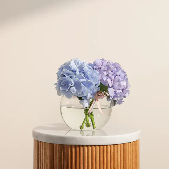 Elegant Hydrangea Vase