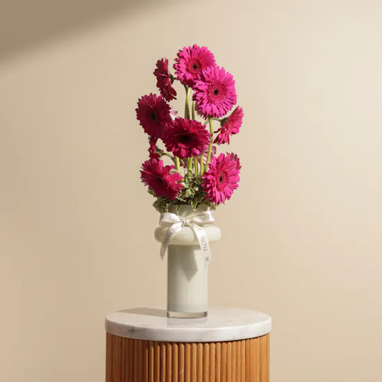Fuchsia Gerbera Ceramic Vase | 15 Flowers